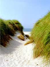 Weg zum Strand